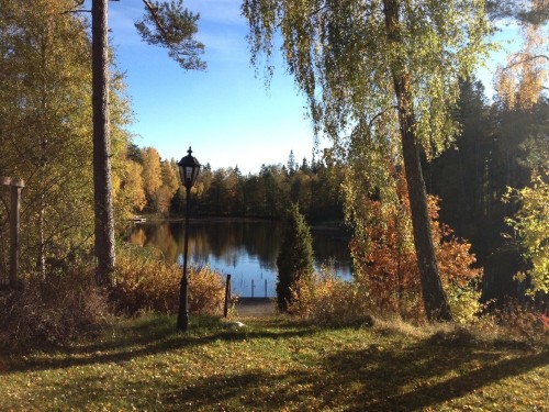 Blick vom Grundstück – Ferienhaus Bäckvik