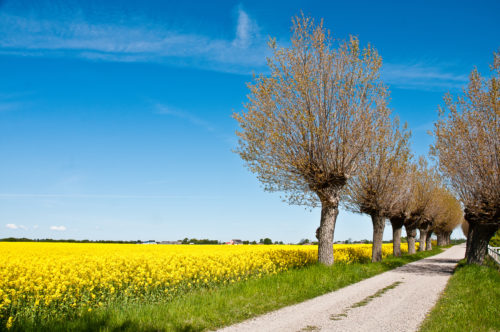 Schweden wie im Bilderbuch | ©Måns Fornander/imagebank.sweden.se